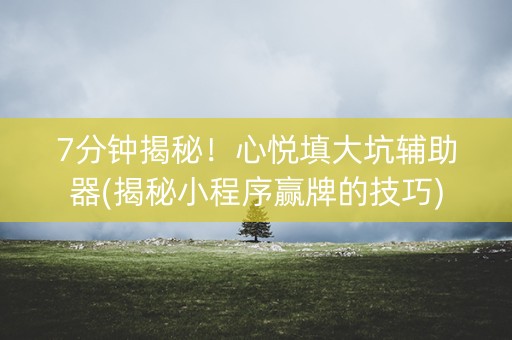 7分钟揭秘！心悦填大坑辅助器(揭秘小程序赢牌的技巧)