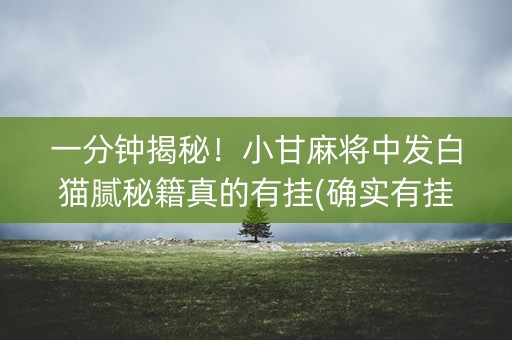 一分钟揭秘！小甘麻将中发白猫腻秘籍真的有挂(确实有挂吗)