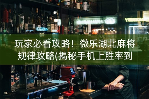 玩家必看攻略！微乐湖北麻将规律攻略(揭秘手机上胜率到哪调)