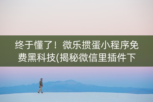 终于懂了！微乐掼蛋小程序免费黑科技(揭秘微信里插件下载)