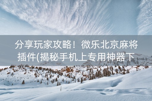 分享玩家攻略！微乐北京麻将插件(揭秘手机上专用神器下载)