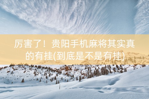 厉害了！贵阳手机麻将其实真的有挂(到底是不是有挂)
