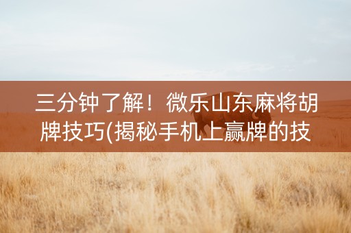 三分钟了解！微乐山东麻将胡牌技巧(揭秘手机上赢牌的技巧)