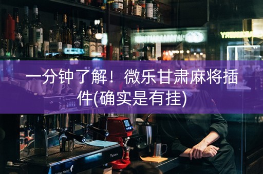 一分钟了解！微乐甘肃麻将插件(确实是有挂)