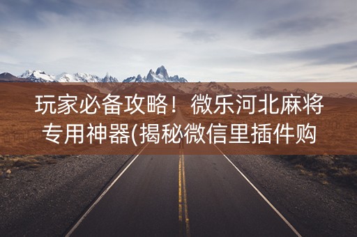 玩家必备攻略！微乐河北麻将专用神器(揭秘微信里插件购买)