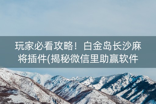 玩家必看攻略！白金岛长沙麻将插件(揭秘微信里助赢软件)