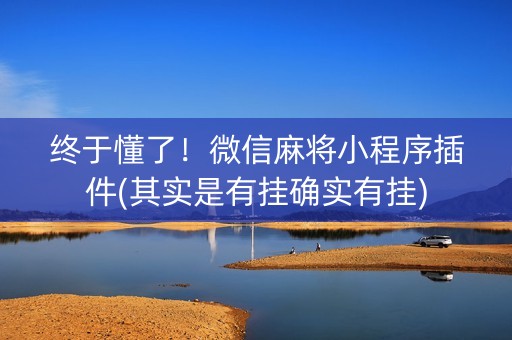 终于懂了！微信麻将小程序插件(其实是有挂确实有挂)