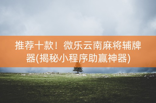 推荐十款！微乐云南麻将辅牌器(揭秘小程序助赢神器)