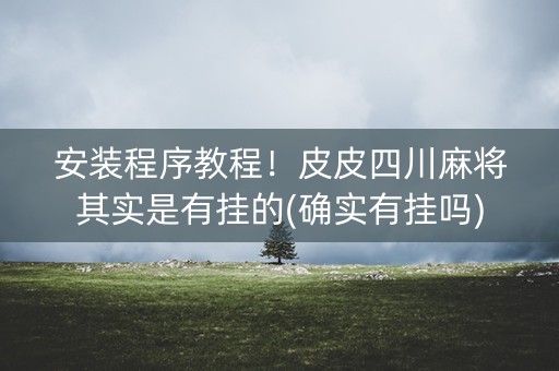 安装程序教程！皮皮四川麻将其实是有挂的(确实有挂吗)