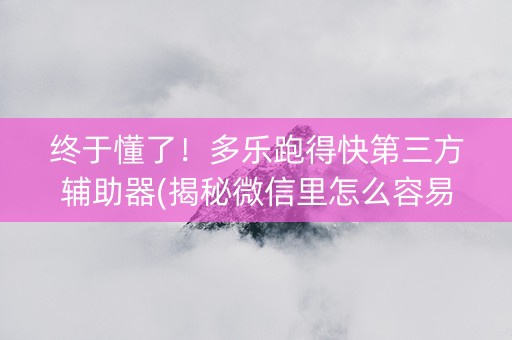 终于懂了！多乐跑得快第三方辅助器(揭秘微信里怎么容易赢)