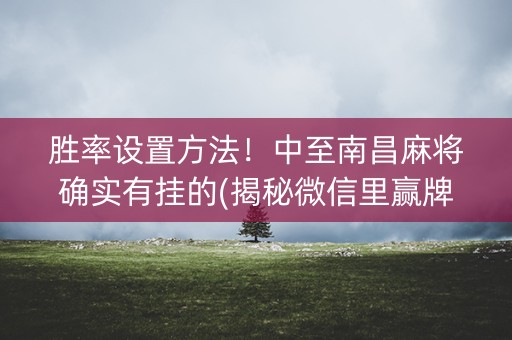 胜率设置方法！中至南昌麻将确实有挂的(揭秘微信里赢牌技巧)
