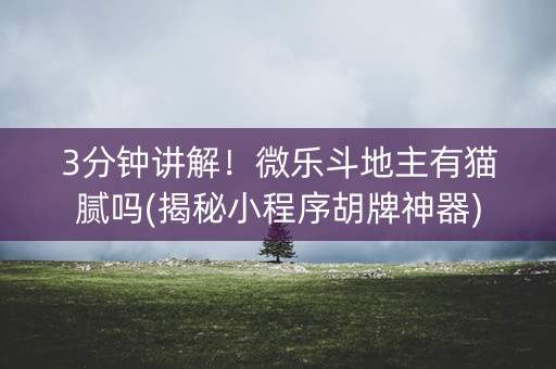 3分钟讲解！微乐斗地主有猫腻吗(揭秘小程序胡牌神器)