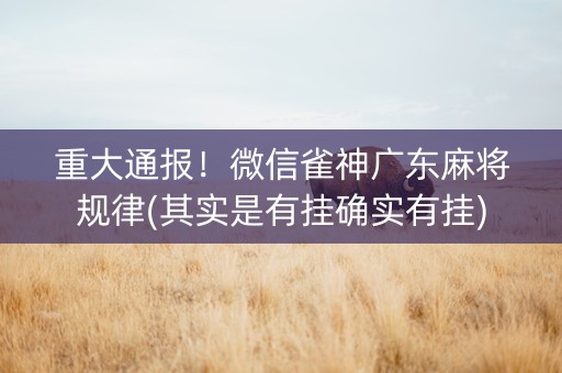 重大通报！微信雀神广东麻将规律(其实是有挂确实有挂)
