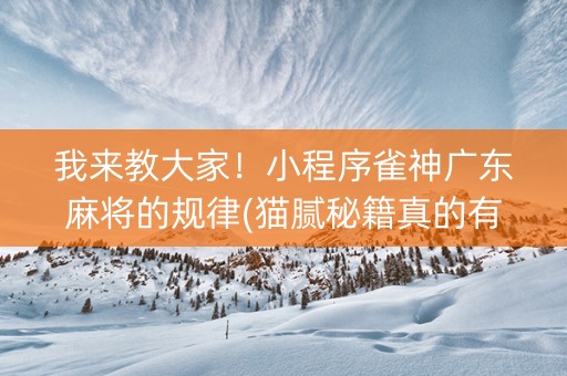 我来教大家！小程序雀神广东麻将的规律(猫腻秘籍真的有挂)