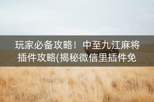玩家必备攻略！中至九江麻将插件攻略(揭秘微信里插件免费)