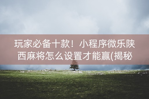 玩家必备十款！小程序微乐陕西麻将怎么设置才能赢(揭秘小程序输赢规律)
