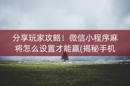 分享玩家攻略！微信小程序麻将怎么设置才能赢(揭秘手机上胡牌神器)