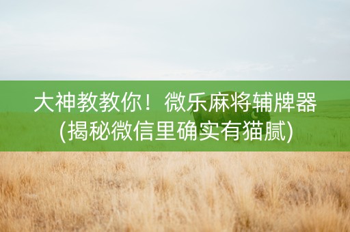 大神教教你！微乐麻将辅牌器(揭秘微信里确实有猫腻)