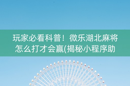 玩家必看科普！微乐湖北麻将怎么打才会赢(揭秘小程序助赢神器购买)