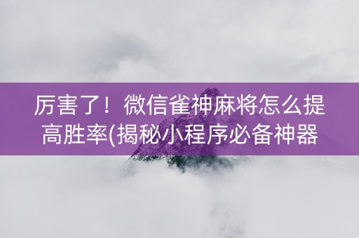 厉害了！微信雀神麻将怎么提高胜率(揭秘小程序必备神器)