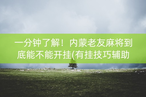 一分钟了解！内蒙老友麻将到底能不能开挂(有挂技巧辅助器)