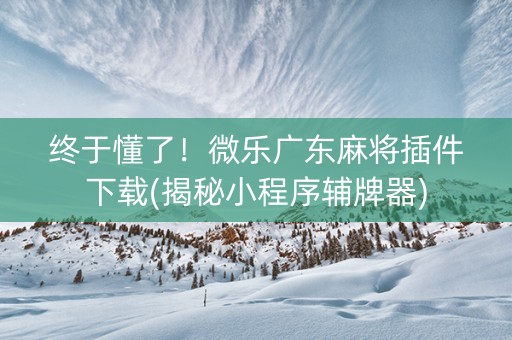 终于懂了！微乐广东麻将插件下载(揭秘小程序辅牌器)