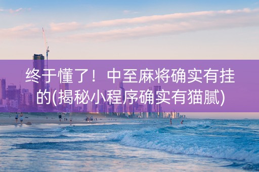 终于懂了！中至麻将确实有挂的(揭秘小程序确实有猫腻)