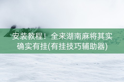 安装教程！全来湖南麻将其实确实有挂(有挂技巧辅助器)