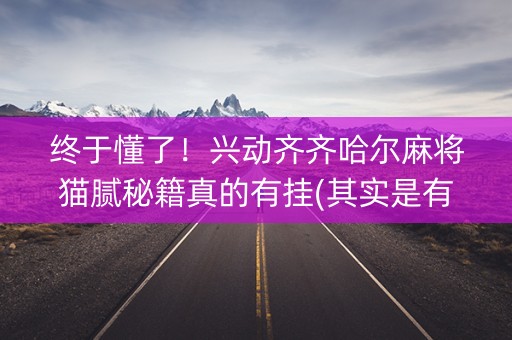 终于懂了！兴动齐齐哈尔麻将猫腻秘籍真的有挂(其实是有挂确实有挂)
