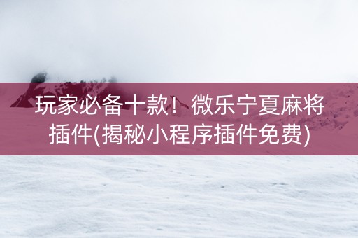 玩家必备十款！微乐宁夏麻将插件(揭秘小程序插件免费)
