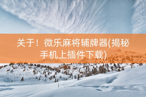 关于！微乐麻将辅牌器(揭秘手机上插件下载)