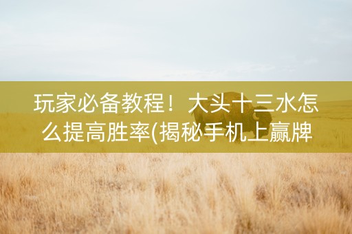 玩家必备教程！大头十三水怎么提高胜率(揭秘手机上赢牌的技巧)