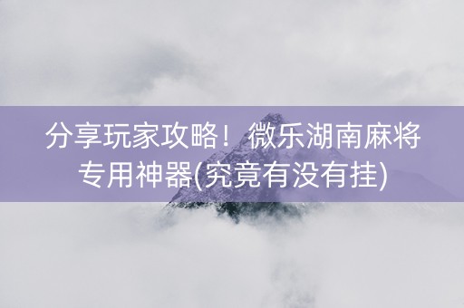 分享玩家攻略！微乐湖南麻将专用神器(究竟有没有挂)