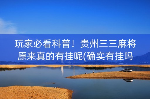 玩家必看科普！贵州三三麻将原来真的有挂呢(确实有挂吗)