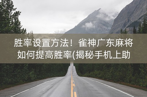 胜率设置方法！雀神广东麻将如何提高胜率(揭秘手机上助赢神器)