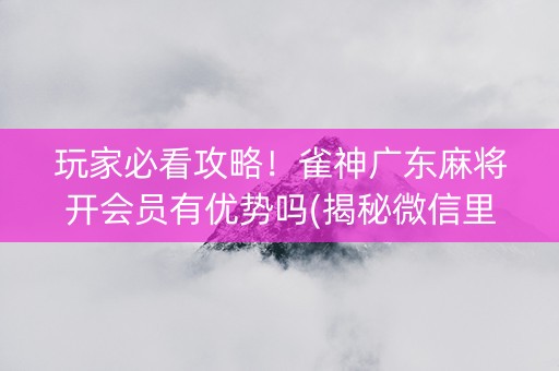 玩家必看攻略！雀神广东麻将开会员有优势吗(揭秘微信里赢的秘诀)