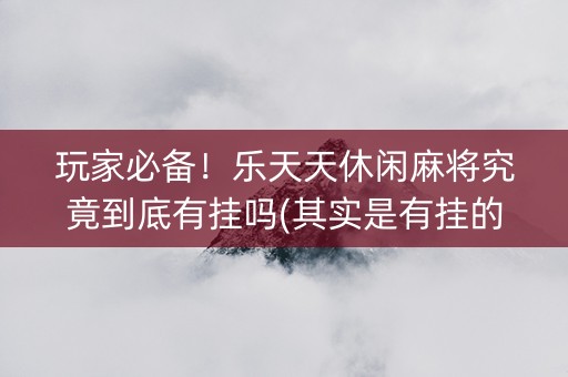 玩家必备！乐天天休闲麻将究竟到底有挂吗(其实是有挂的)