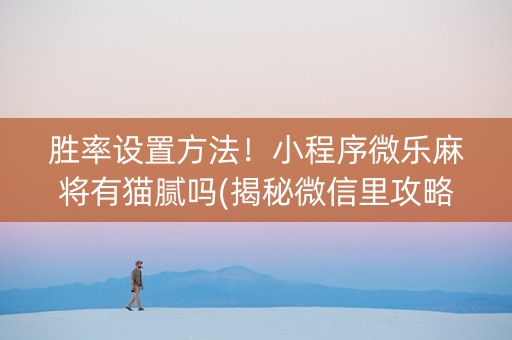 胜率设置方法！小程序微乐麻将有猫腻吗(揭秘微信里攻略插件)