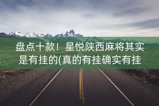 盘点十款！星悦陕西麻将其实是有挂的(真的有挂确实有挂)