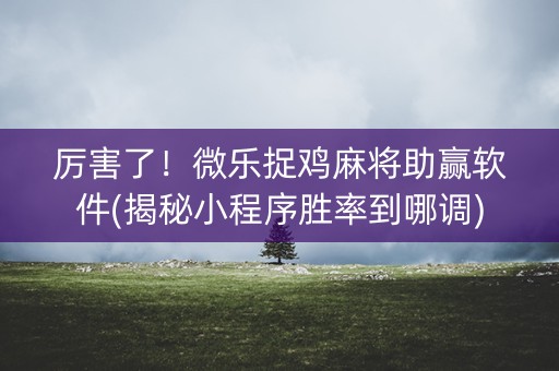厉害了！微乐捉鸡麻将助赢软件(揭秘小程序胜率到哪调)