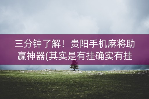 三分钟了解！贵阳手机麻将助赢神器(其实是有挂确实有挂)