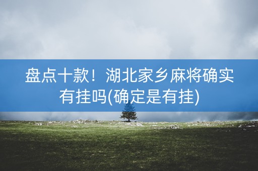 盘点十款！湖北家乡麻将确实有挂吗(确定是有挂)