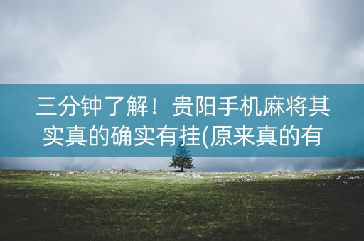 三分钟了解！贵阳手机麻将其实真的确实有挂(原来真的有挂)