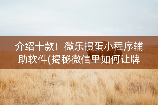 介绍十款！微乐掼蛋小程序辅助软件(揭秘微信里如何让牌变好)