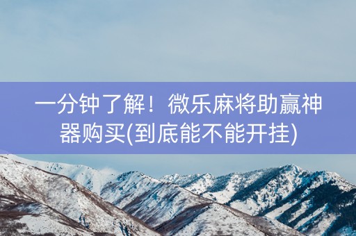 一分钟了解！微乐麻将助赢神器购买(到底能不能开挂)