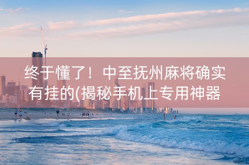 终于懂了！中至抚州麻将确实有挂的(揭秘手机上专用神器下载)