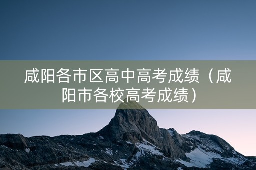 咸阳各市区高中高考成绩（咸阳市各校高考成绩）