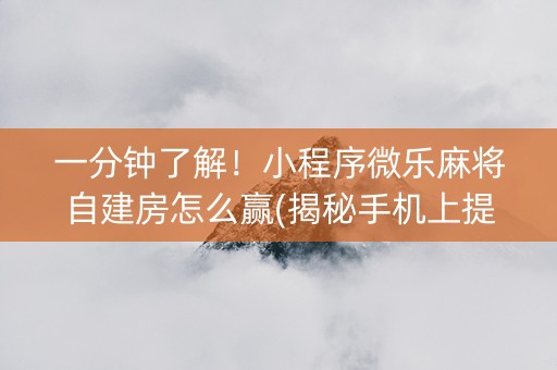 一分钟了解！小程序微乐麻将自建房怎么赢(揭秘手机上提高赢的概率)