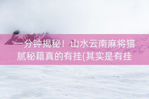 一分钟揭秘！山水云南麻将猫腻秘籍真的有挂(其实是有挂确实有挂)