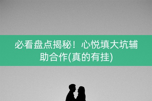 必看盘点揭秘！心悦填大坑辅助合作(真的有挂)